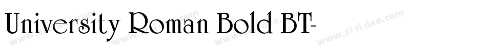 University Roman Bold BT字体转换